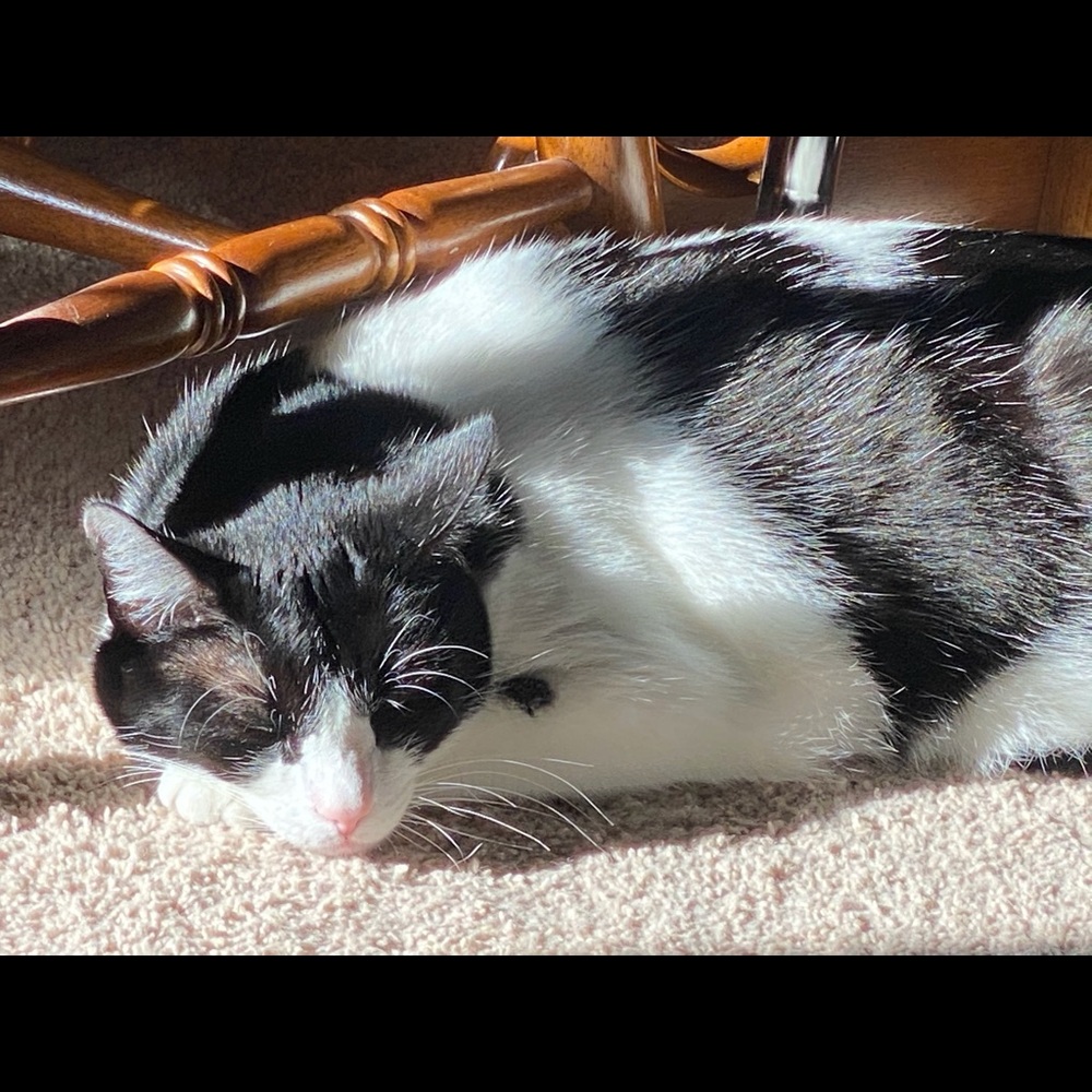 Meet your Posher, Karena